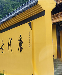 ������ʲô����