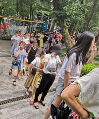 �ŷ幫԰��Ʊ�ų��ӣ���֪Ϊ�ξ�Ȼ���˱�����