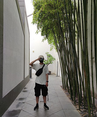 ����178�Ľ���С���