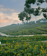 �򿨻����������쾰�㣬̫��������ȷʵ����