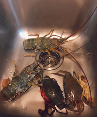 �õ緹��������Ϻ��ֵ���ߣ���ζ������