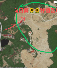 �򿨻����������쾰�㣬̫��������ȷʵ����