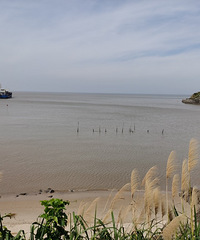 �󽷽�����������·�ţ���ˮ���ǲ���