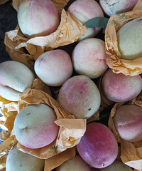 ����̨��ˮ���ҳ����������ձ��������ͷƫС��������