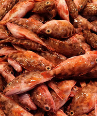 ����ʯ�Ź������ʽ��գ�ζ�������ޱ�