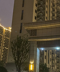 ҹ̽���������