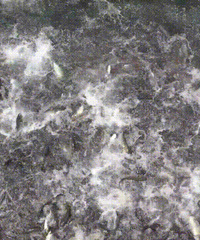 50000�ǧ������������й����һ���������������ͷ������