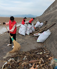 ��̲�����������ж�