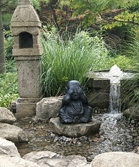 �����黨�壬����Щ�ɰ��������ȵ���