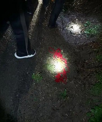 Ϊ�󸴺ϣ����ӿ�����ǰŮ�ѵ�Ĺ�أ�һ��һ���ػ�������