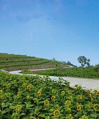 �������ϵĿ�������