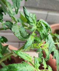 һ��С���ѵ�ʹ�����������ɳ��������