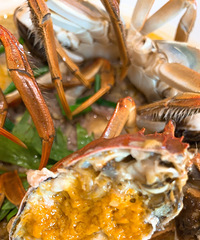 ��˽����ʳno44����բз����ĩ