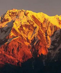 ����ʮ���ɽ����Ȼ��8��ɽ���Ჴ��