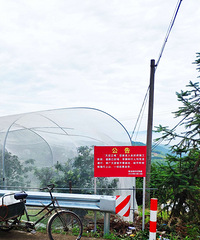 ����ƽ���綫ɽ������տ�����