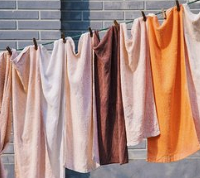 315�ع�ë�������ߣ������Ӿ����¾�������ԭ��