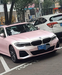 ���������ġ���һ�ų������ۺ�ɫ��ҫ��