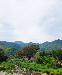 ��ӾϪ��ʱ�ؿɼ����ֺ������������