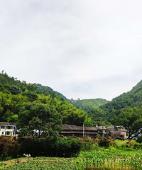 ��ӾϪ��ʱ�ؿɼ����ֺ������������