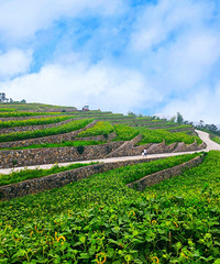 ���������ﻨ�����������������