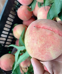 ���۸��᡿������Ƥ�����������Ǯ����ô��