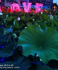 ���иɽ�����Ӵ������ɫ