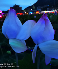 ���иɽ�����Ӵ������ɫ