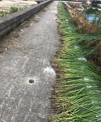 ���ɹ����Щ������ʲô�õ�