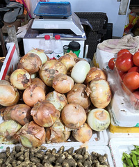 ����и��������������ʲô��һ�����ϰ�������˵��