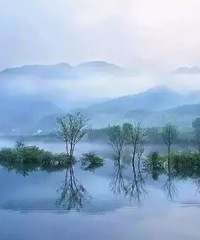 ɭ�ָ����ʸߴ�72.9%���������գ�������������Ȼ�յ�����