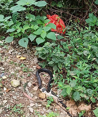 ���ſڷ��������̫������