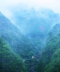 ɭ�ָ����ʸߴ�72.9%���������գ�������������Ȼ�յ�����