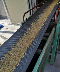 һ��һ�ȵ�������⿪ʼ��