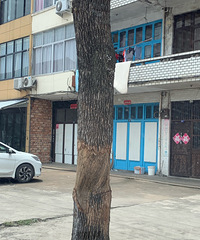 ��Ȧ�İ�����Ƥ����ȱ�°�