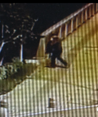 ���Ӿƺ���������׹��������������������λ����31�򣡷�Ժ�о�