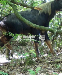 ��ͣ��4�룬����ʧ�������С�����˵�еġ��Ĳ������㽭���֣�