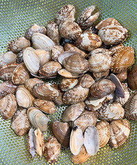 �������ܳ�̫�÷������ȫ����������Ӱ��ڸ�