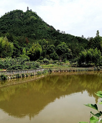 Ѱ��������壺��̨�����