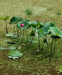 Ѱ��������壺��̨�����