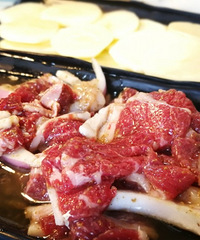 ��˵�ڻ��ң����￾���㲻����