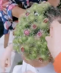 �������ơ��Զ�ñ�ӡ���ͯ������̵Ĳ�ʹ���䣬����������