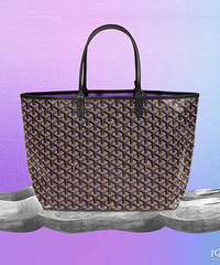 �����ײ������Щ��������ͬ����С��Ů��������˽⣡