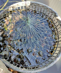 ������˿������ţ��