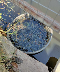 ������˿������ţ��