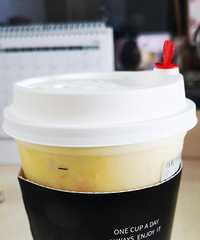 ����������֦��¶���������֦��¶�ļ�ǿ��