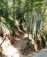 Ѱ�ø��񶴡����ٺ���ɽ��