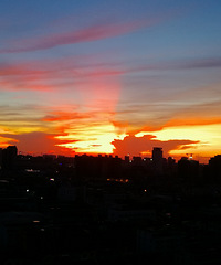 [������]���ĳ�ϼ