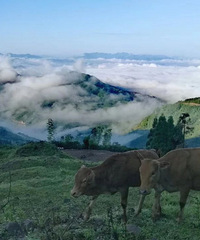 ����������������򣬵����˳ơ�С���ء�������������أ�