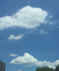 �����ɾ�