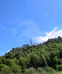 ͨ����Ϫ��·�������ɾ��̵�